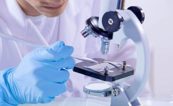 empleo discapacidad
